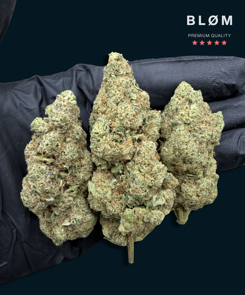 Runtz CBD Flower - CBD Blom