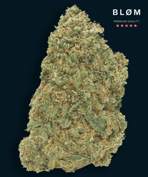 Amnesia Haze CBD Flower