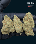 Forbidden Fruit CBD Flower - CBD Blom