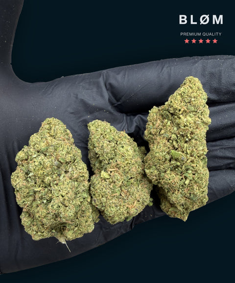 White Frost Hybrid CBD Flower