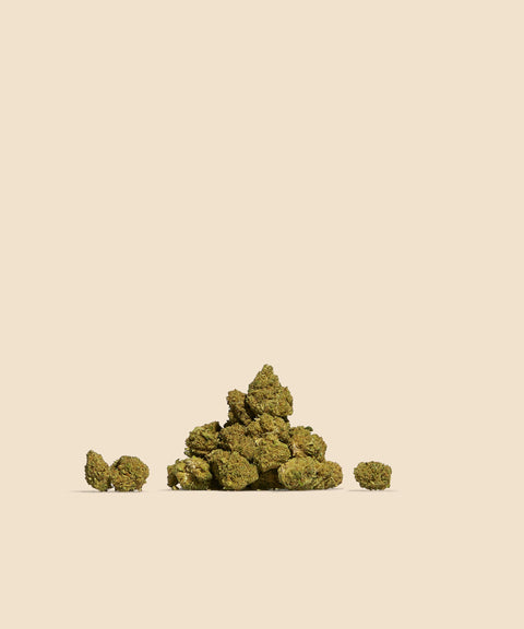 Mango CBD Small Buds - CBD Blom