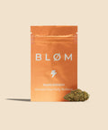 Mimosa CBD Flower - CBD Blom