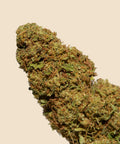 Mimosa CBD Flower - CBD Blom